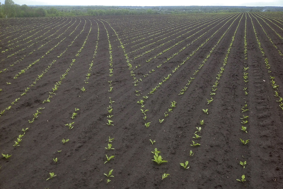 AirVac ve AirSpeed Teknolojisi