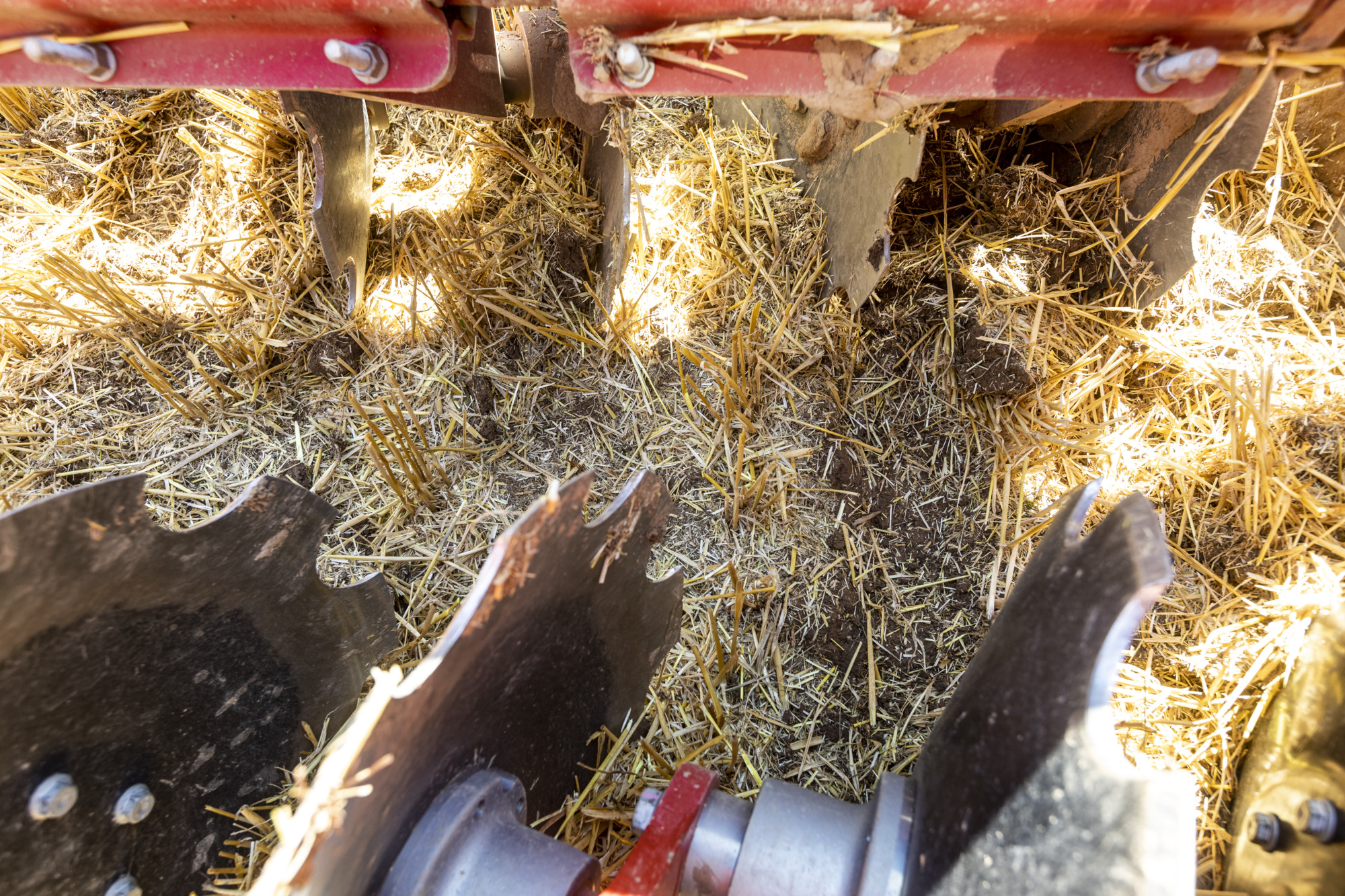 Tırtıklı disk Ø 52 cm