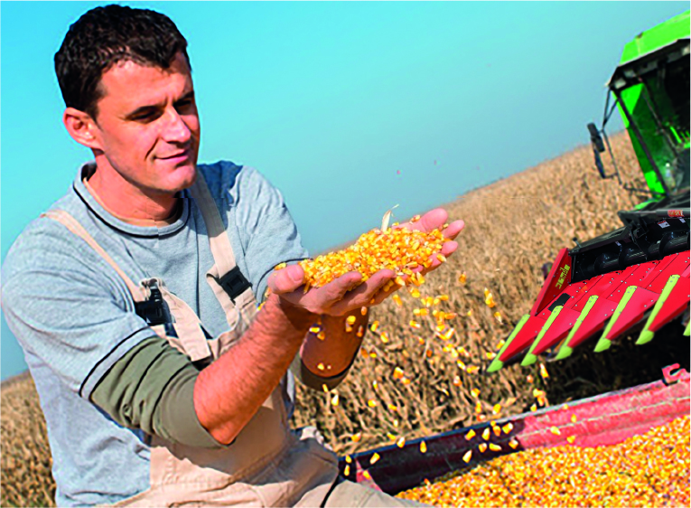 Üstün Koçan Temizleme Teknolojisi