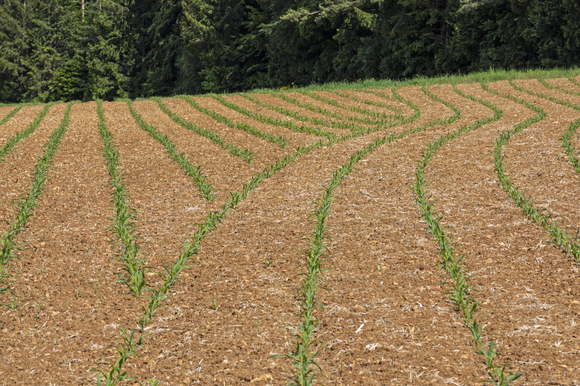 Gelişmiş SectionControl Donanımı